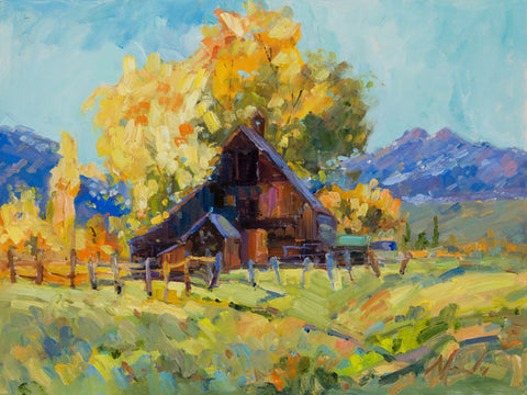 Aspen Rays