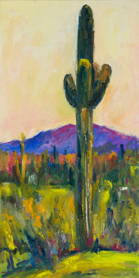 Evening Desert Sky
