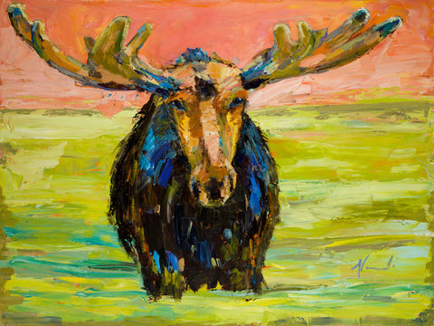 Moose Bath