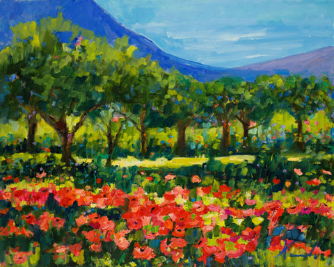 Provence Poppy Field