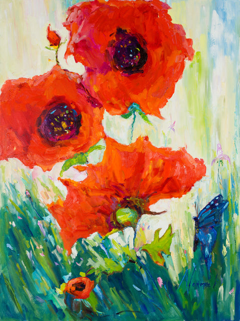 Red Poppy Blooms
