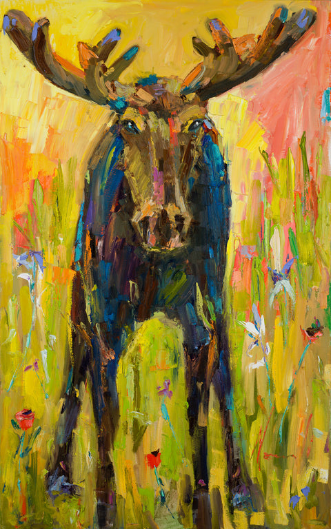 Moose In the Meadow