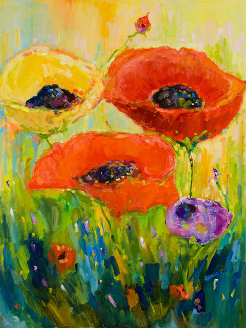 Joy In Bloom, Poppies In The Light