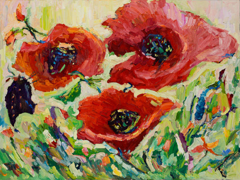Crimson Poppies in Bloom
